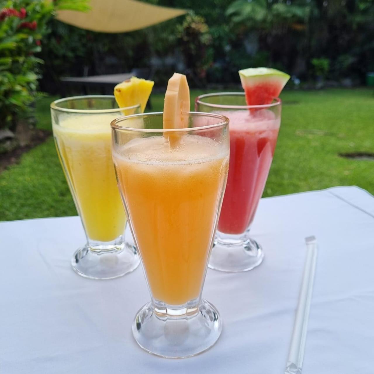 Suites & Apartments San Benito - Zona Rosa San Salvador Zewnętrze zdjęcie